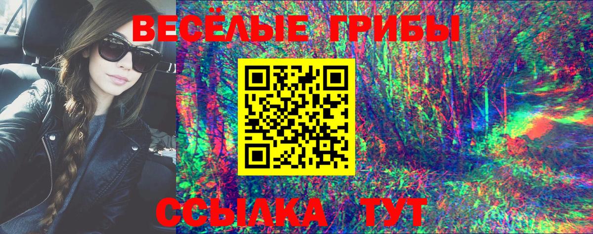 Псилоцибиновые грибы GOLDEN TEACHER Дубна