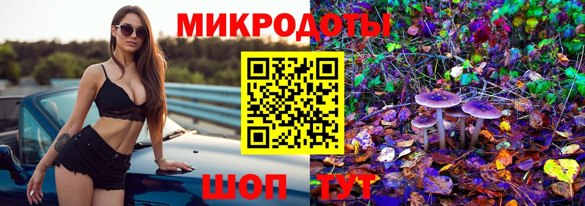 Дубна  закладки  Вход с VPN  Псилоцибиновые грибы Psilocybine cubensis 